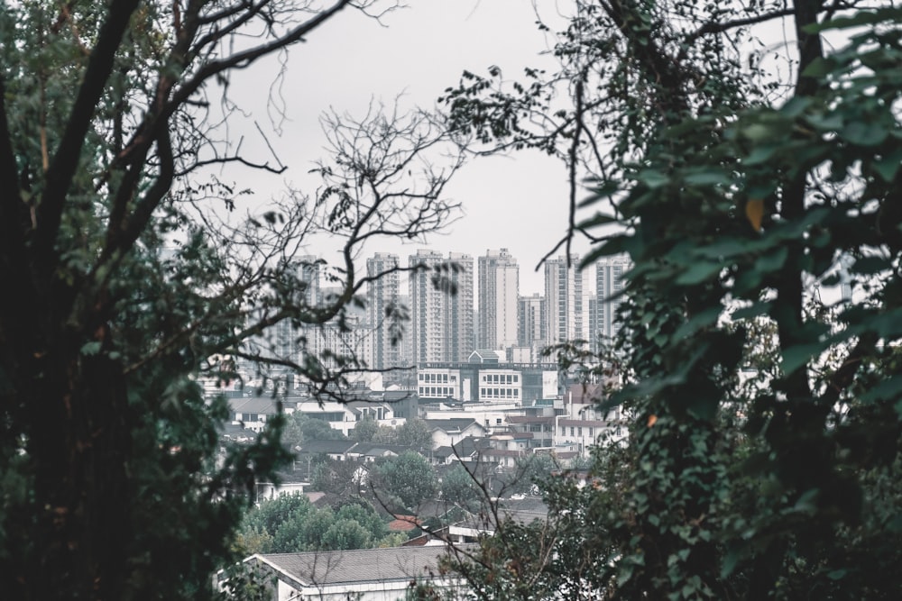 a view of a city through some trees