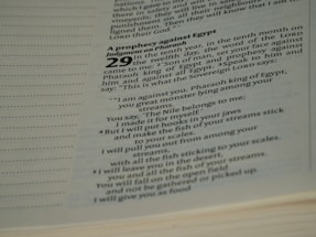 The image contains a close-up of text from a religious book, specifically a passage highlighting a prophecy against Egypt. The text is printed in a modern typeface, with bold numbers and headers. The focused portion includes a prophecy involving Pharaoh, with poetic language.