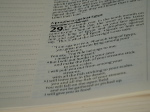 The image contains a close-up of text from a religious book, specifically a passage highlighting a prophecy against Egypt. The text is printed in a modern typeface, with bold numbers and headers. The focused portion includes a prophecy involving Pharaoh, with poetic language.