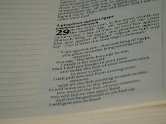 The image contains a close-up of text from a religious book, specifically a passage highlighting a prophecy against Egypt. The text is printed in a modern typeface, with bold numbers and headers. The focused portion includes a prophecy involving Pharaoh, with poetic language.