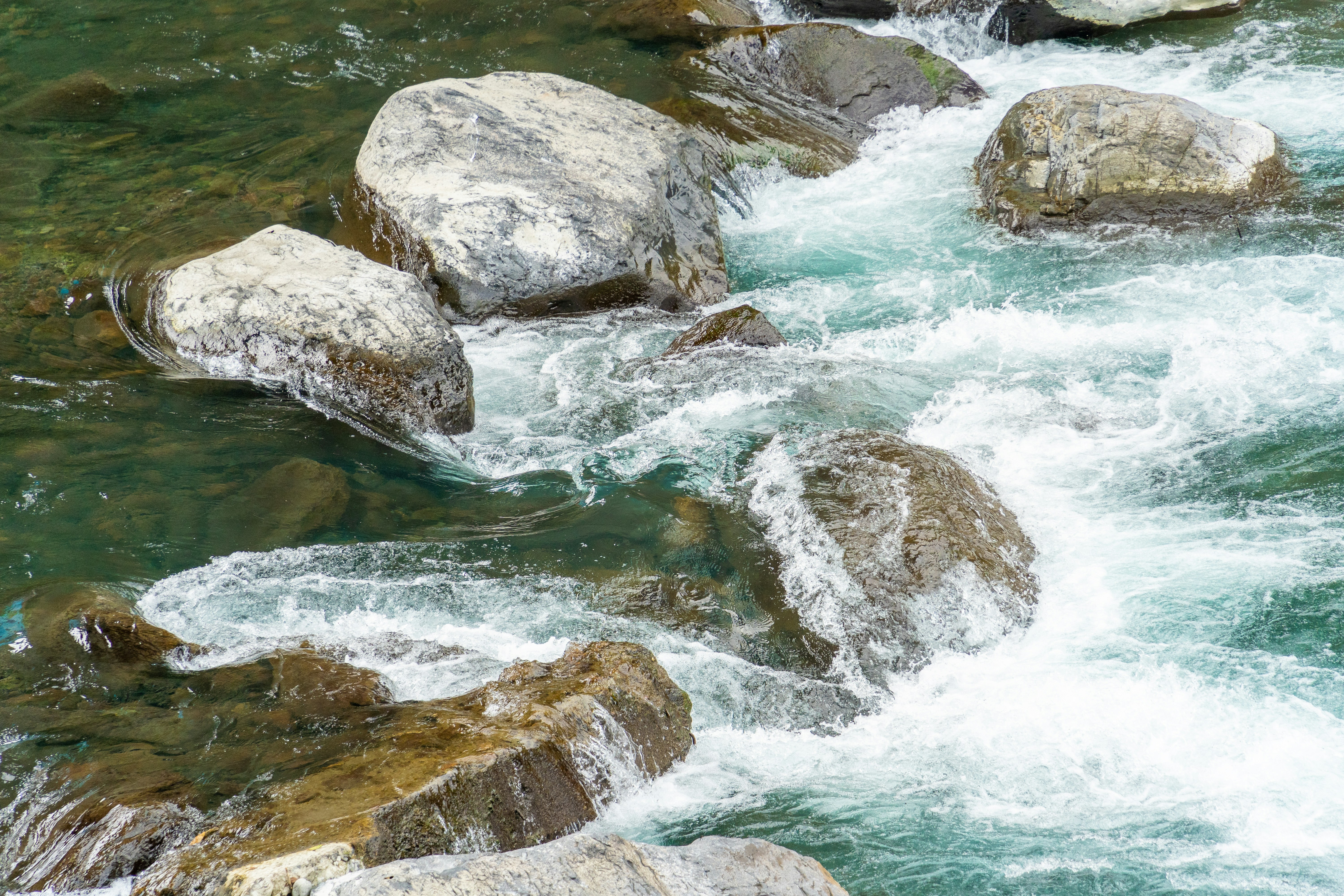 Photo by winstonchen