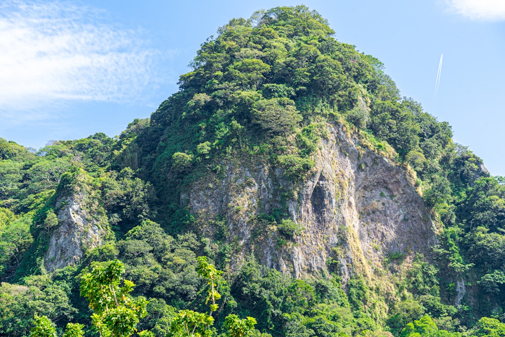 Ein sehr hoher Berg, der mit vielen Bäumen bedeckt ist