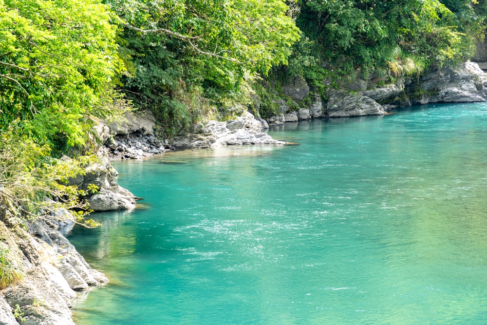 a body of water surrounded by trees and rocks