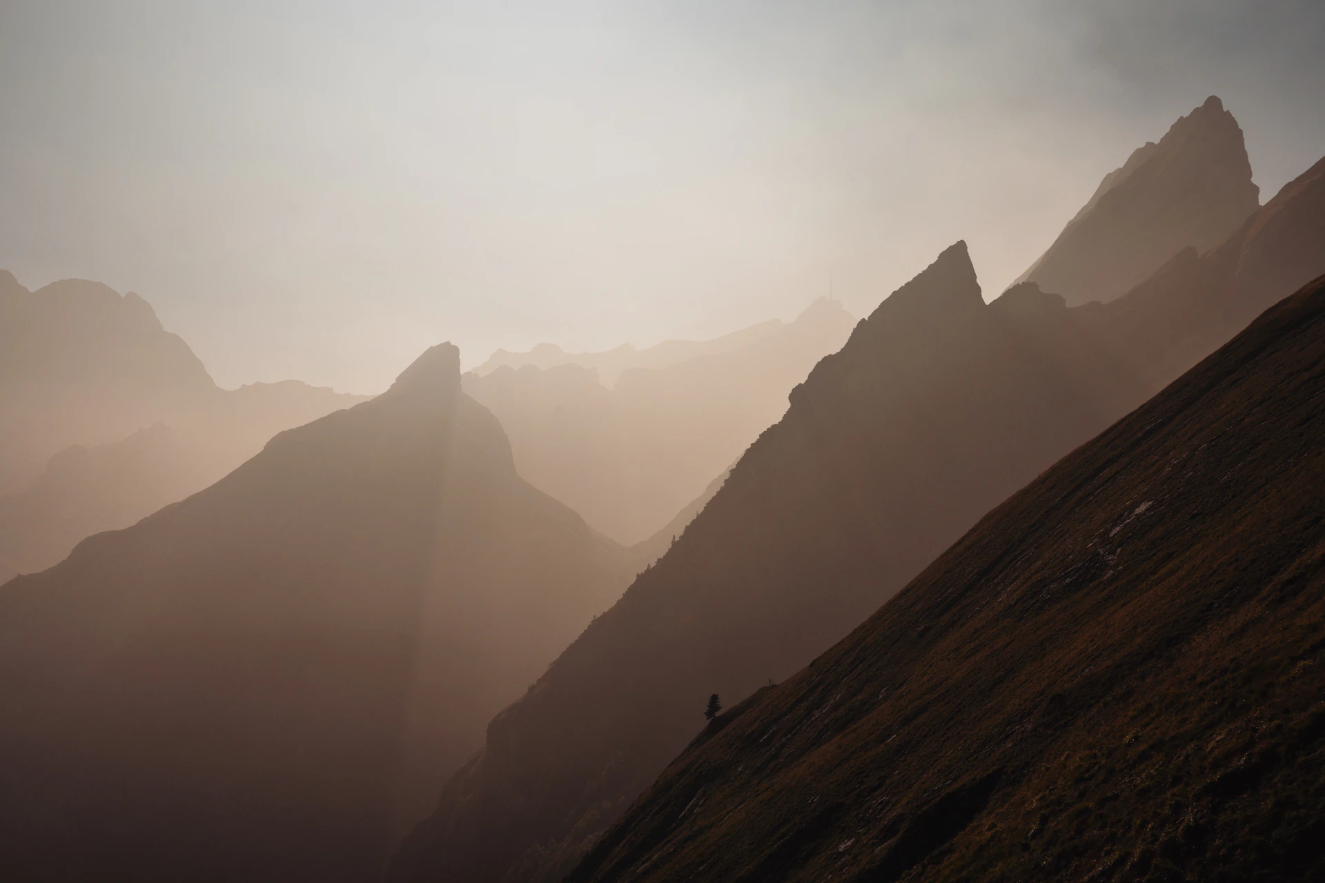 gray computer monitor