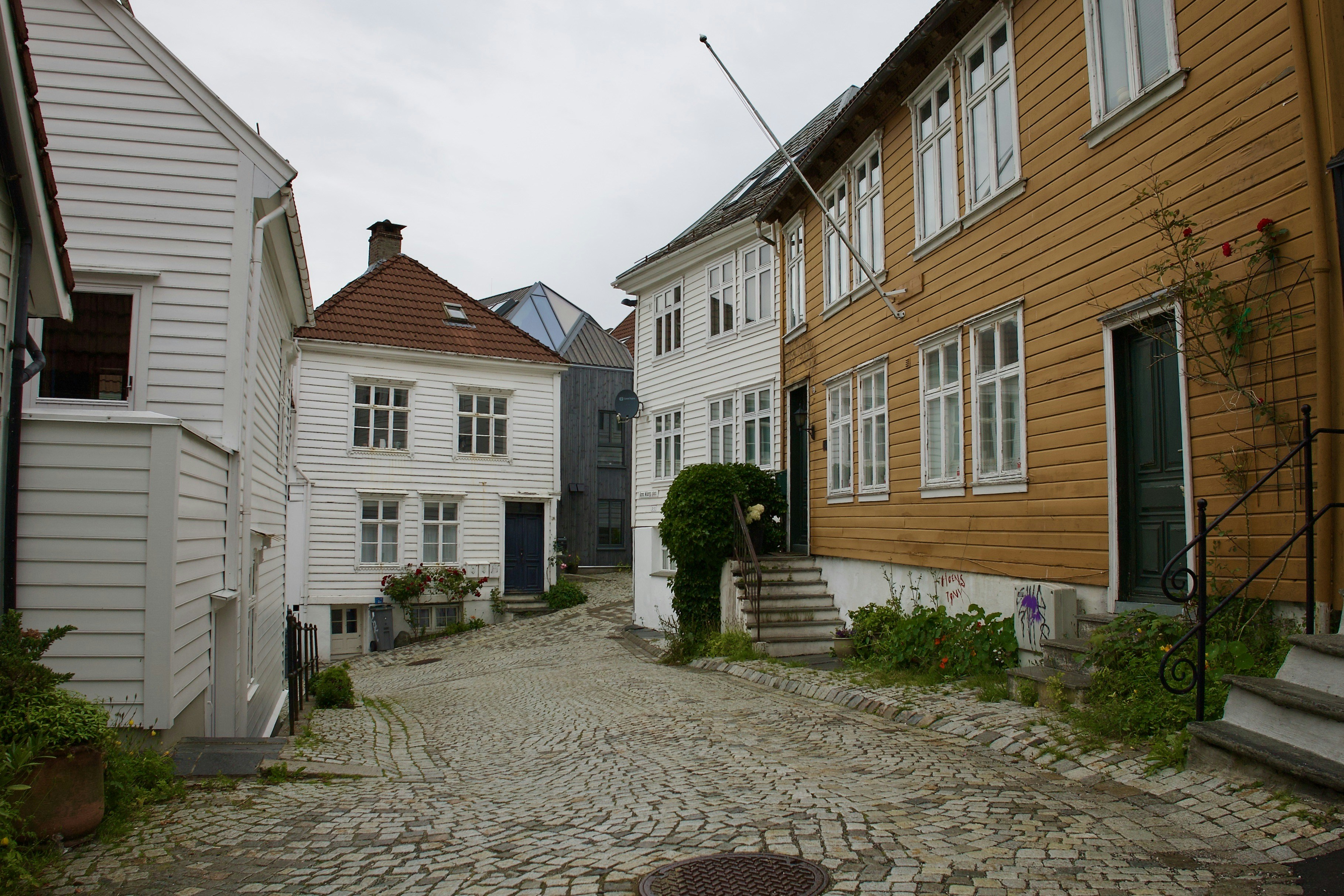 Photo by stockbirken