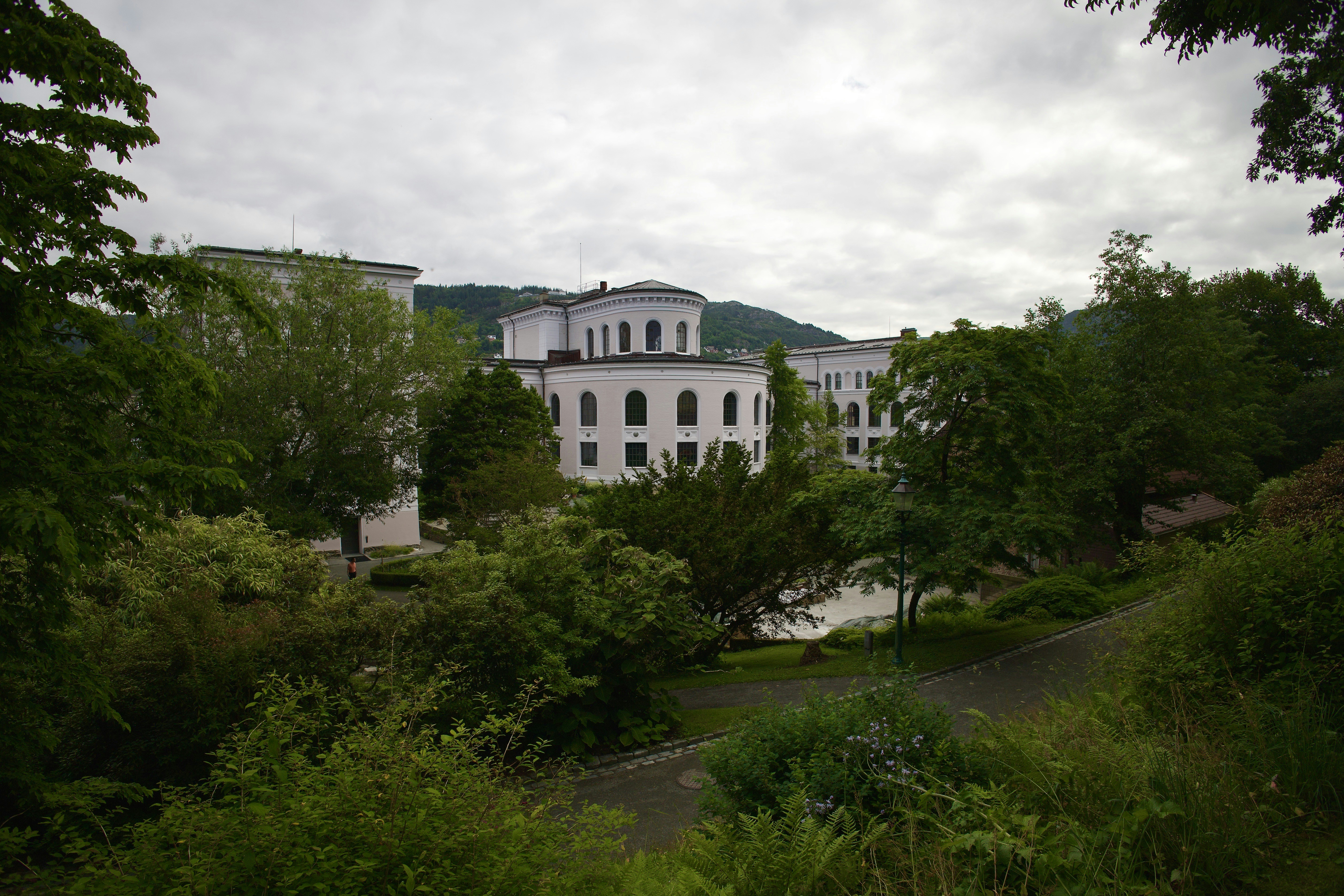 Photo by stockbirken