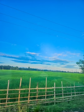 A freshly installed galvanized farm fence surrounding a green field under a clear sky
