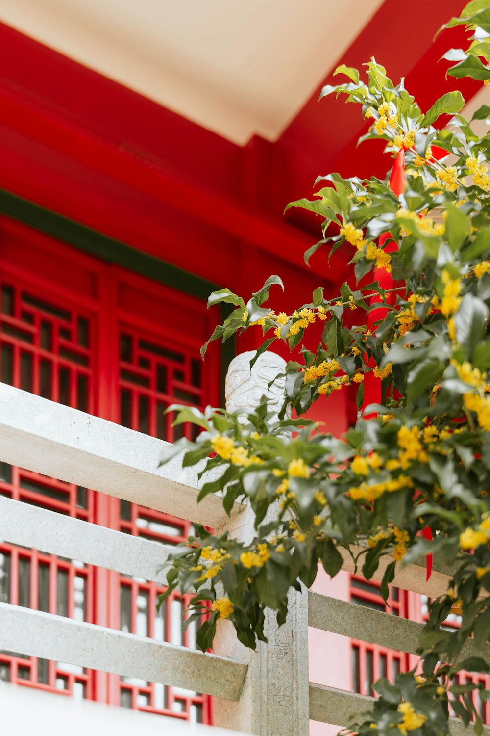 a red building with a white fence and yellow flowers