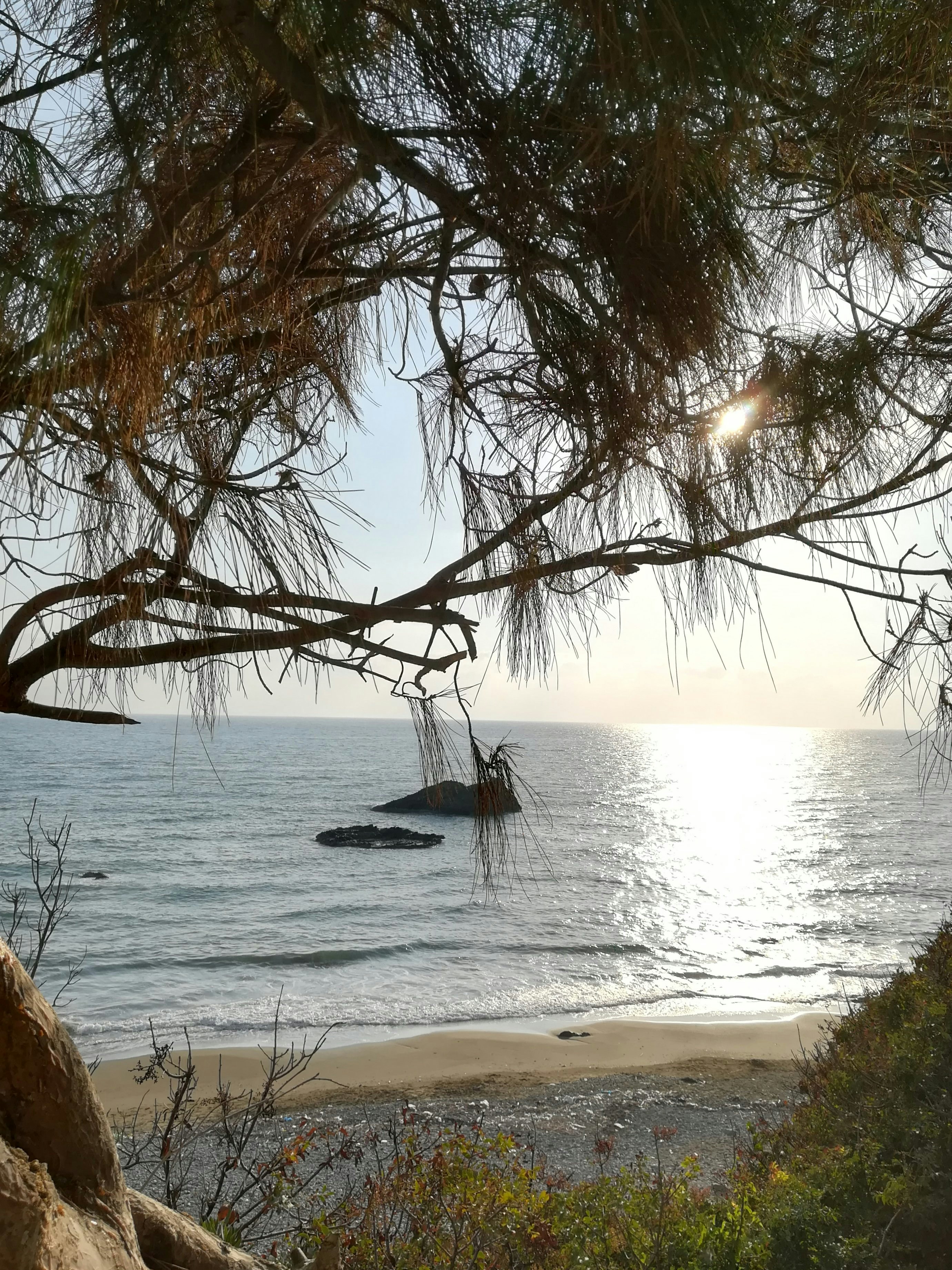 Photo by tumers