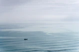 The King of Cups card set against a misty ocean background, highlighting the card’s water symbolism.