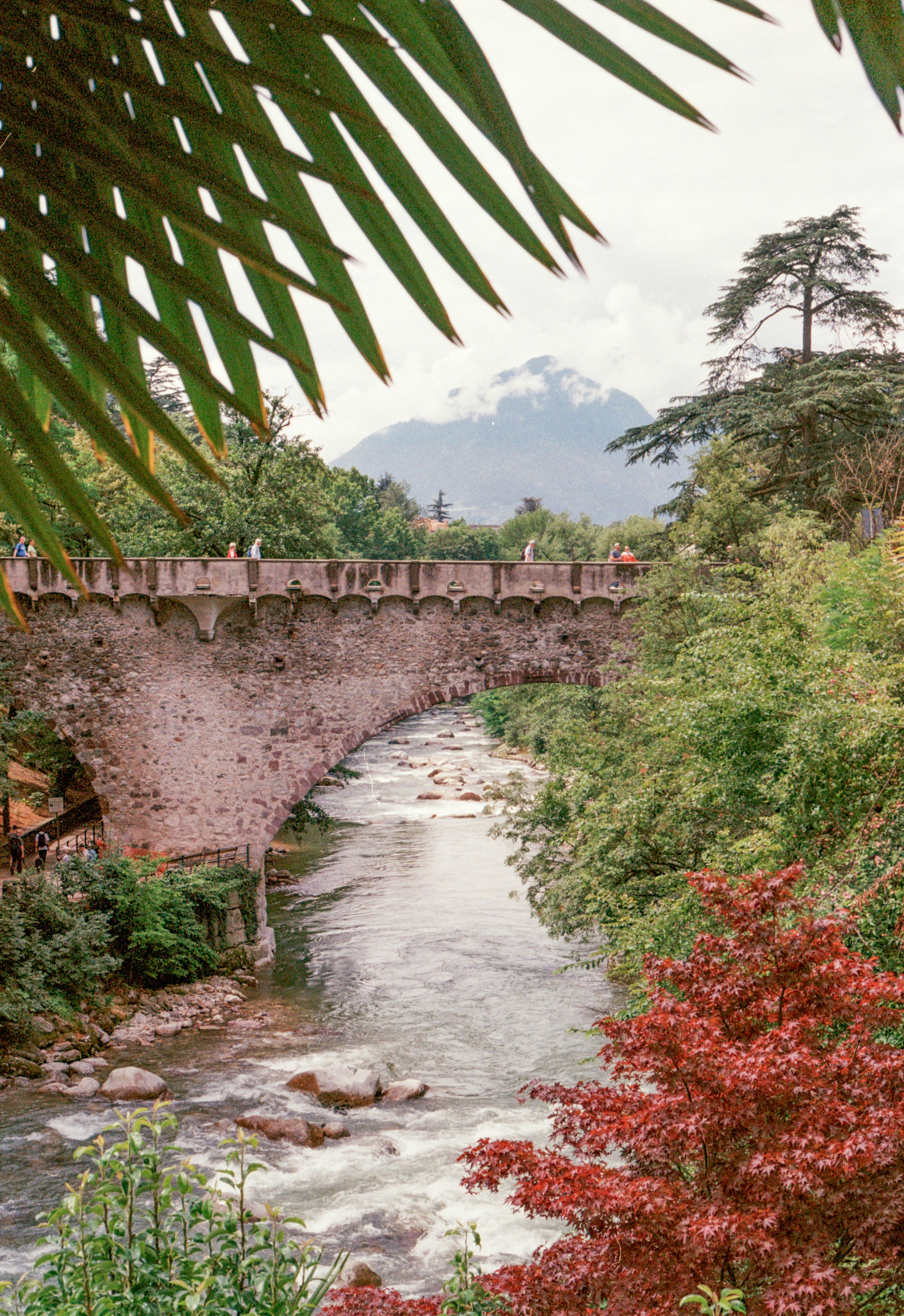 a river flowing under a bridge surrounded by trees