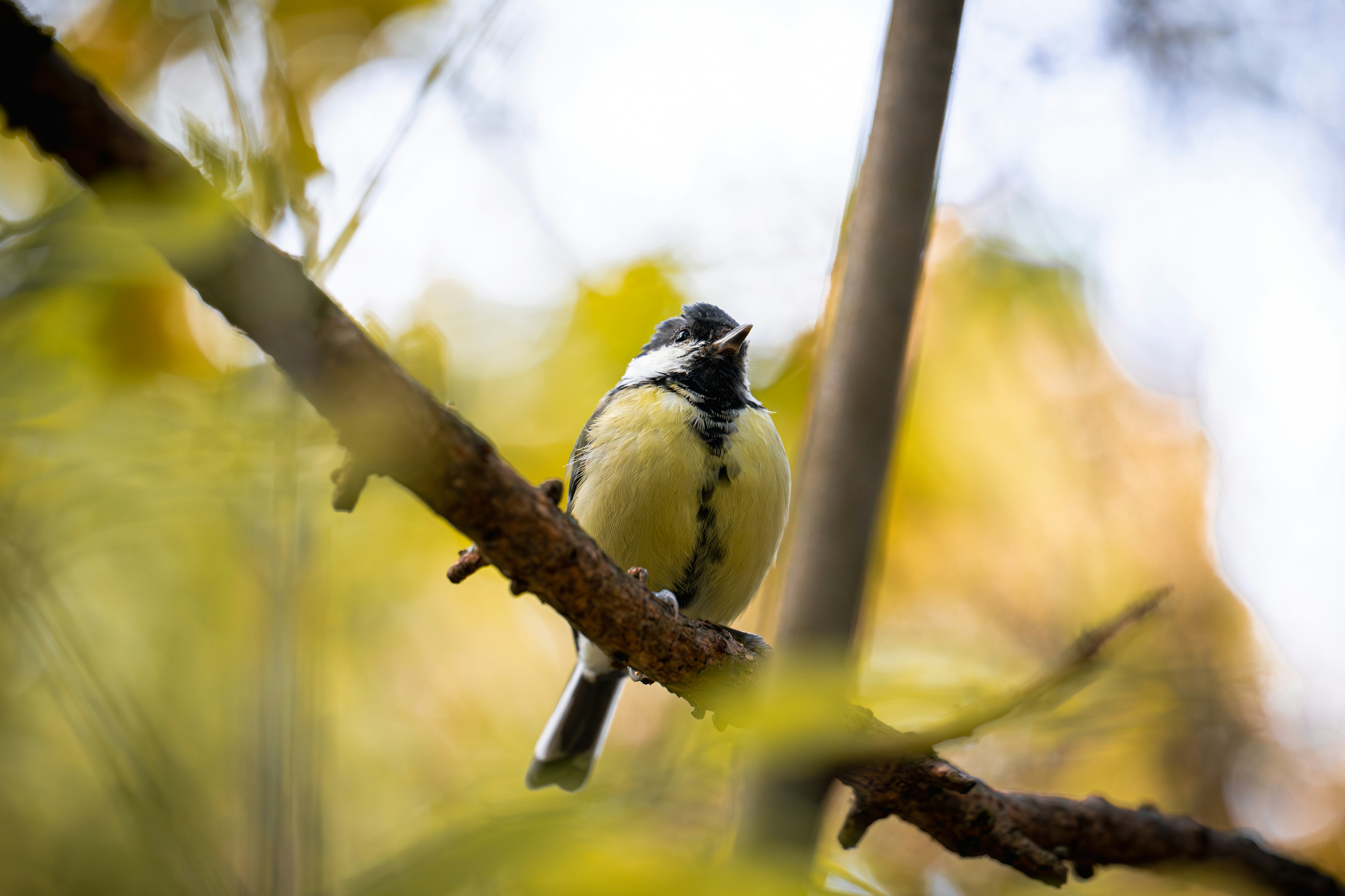 Photo by andreystrizhkov