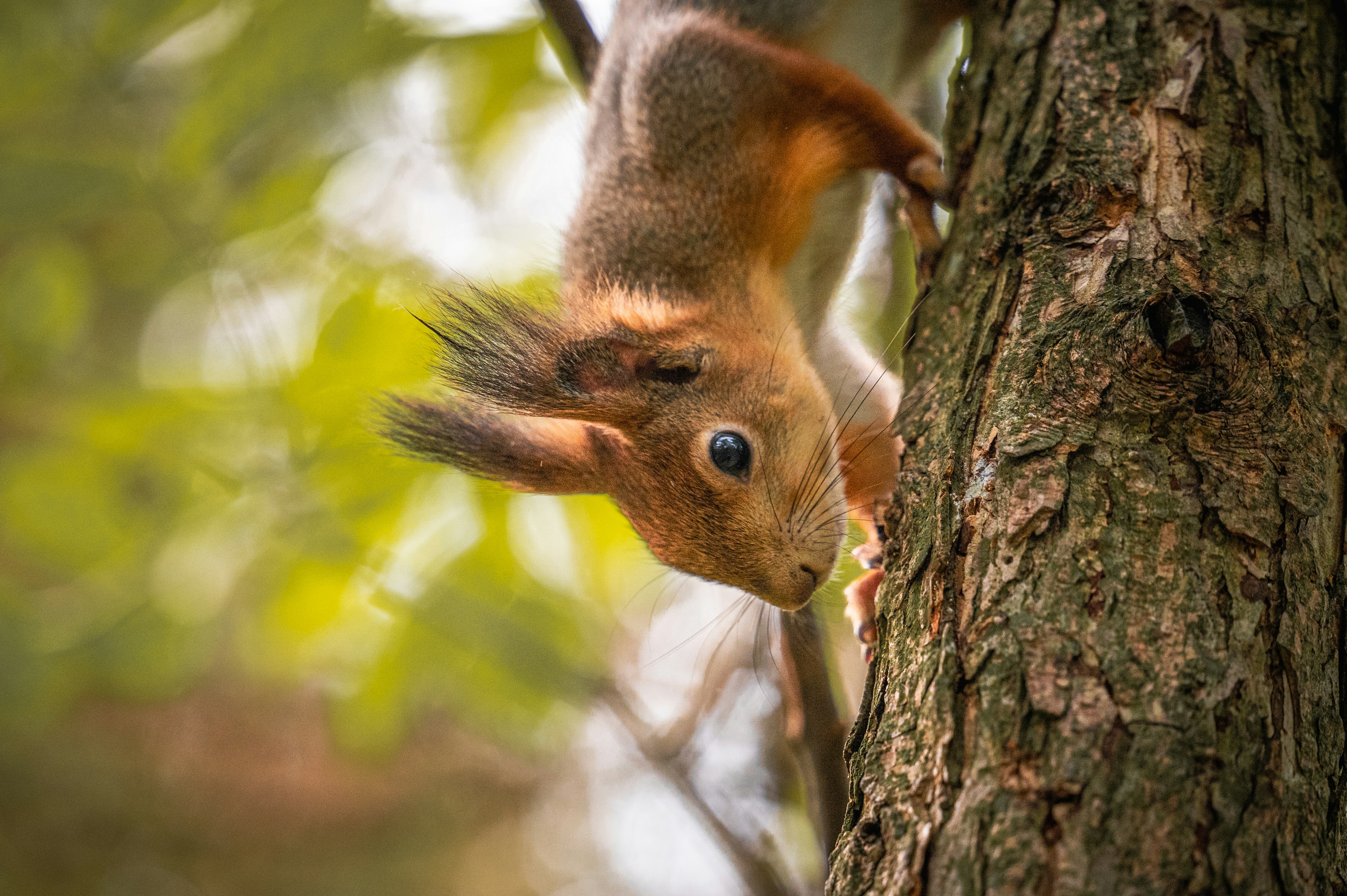 Photo by andreystrizhkov