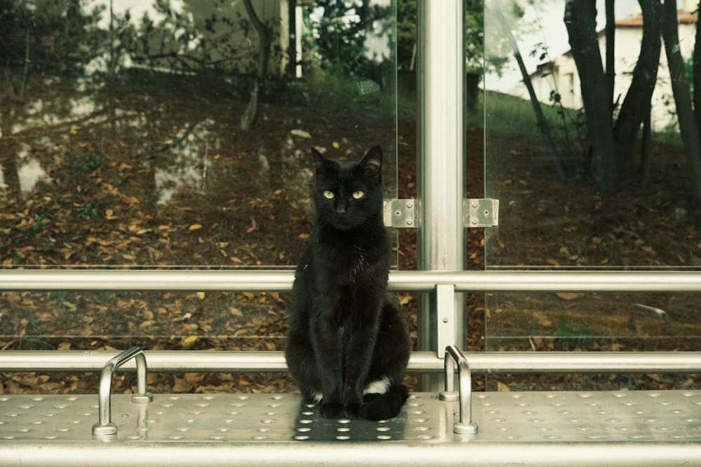 a black cat sitting on a metal railing