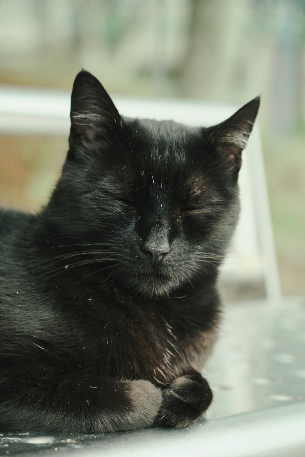 a black cat sleeping on top of a window sill