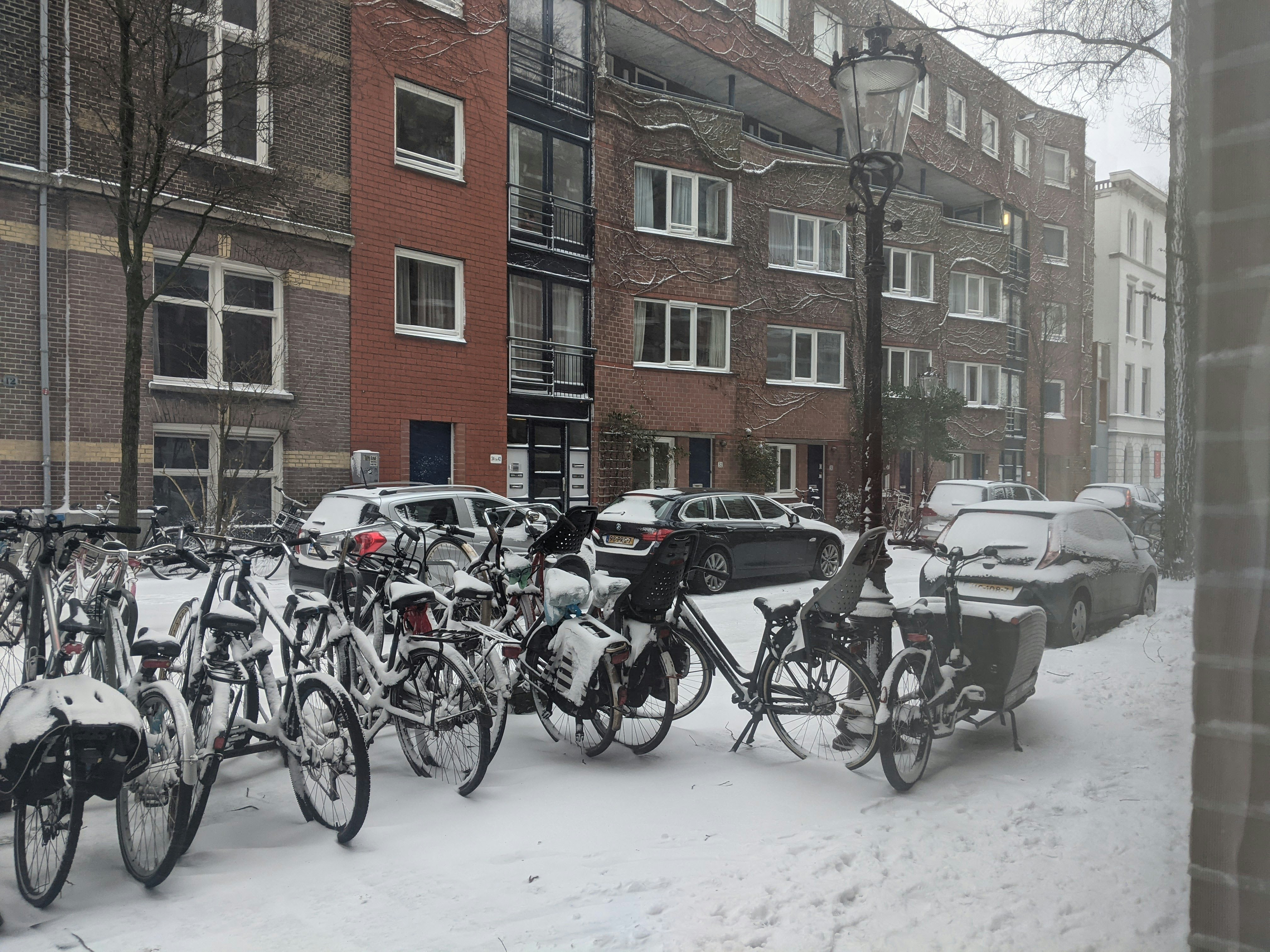 Snow Disrupts Daily Services Across the Netherlands post image