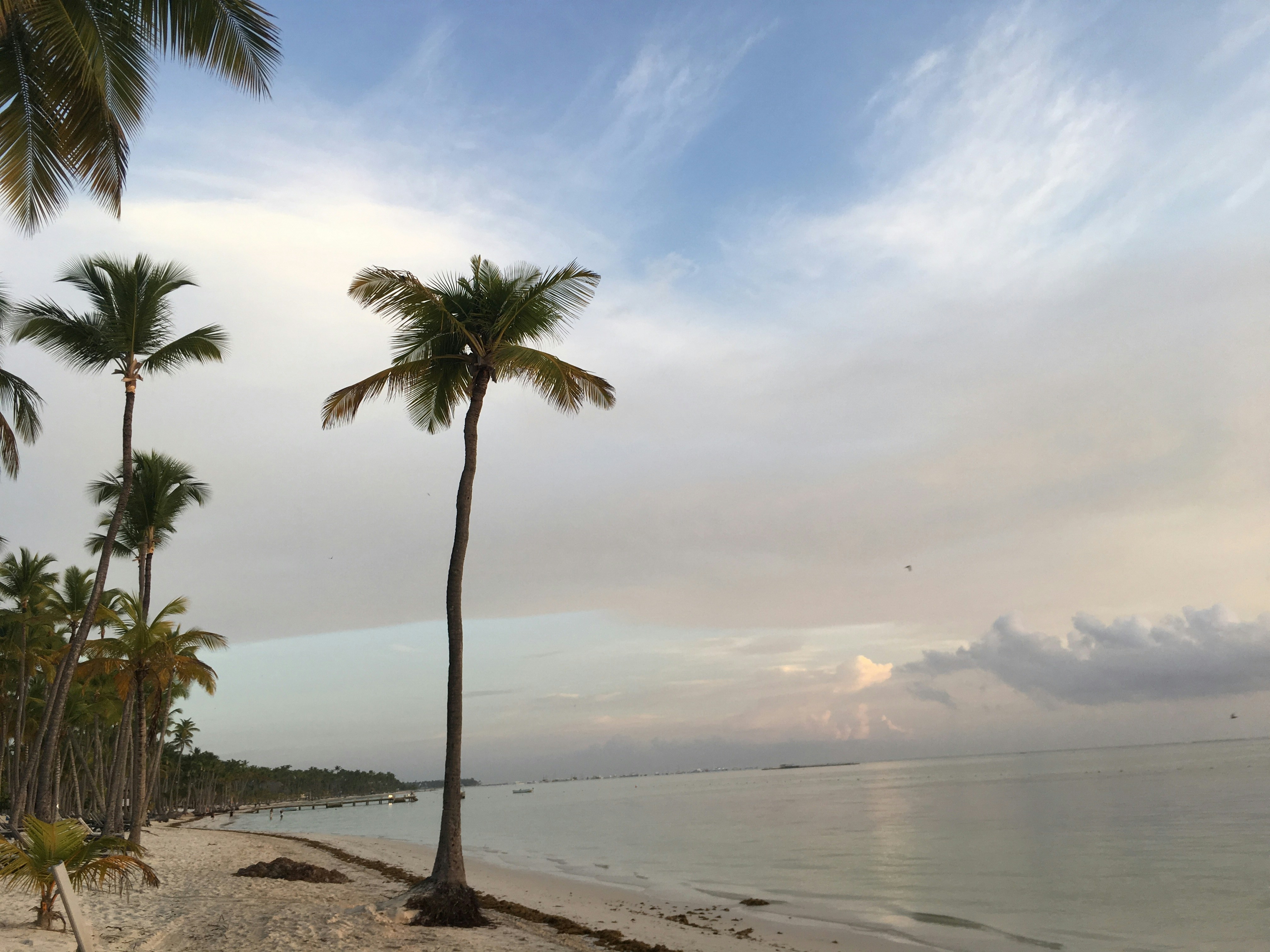 Photo by irmarosas66