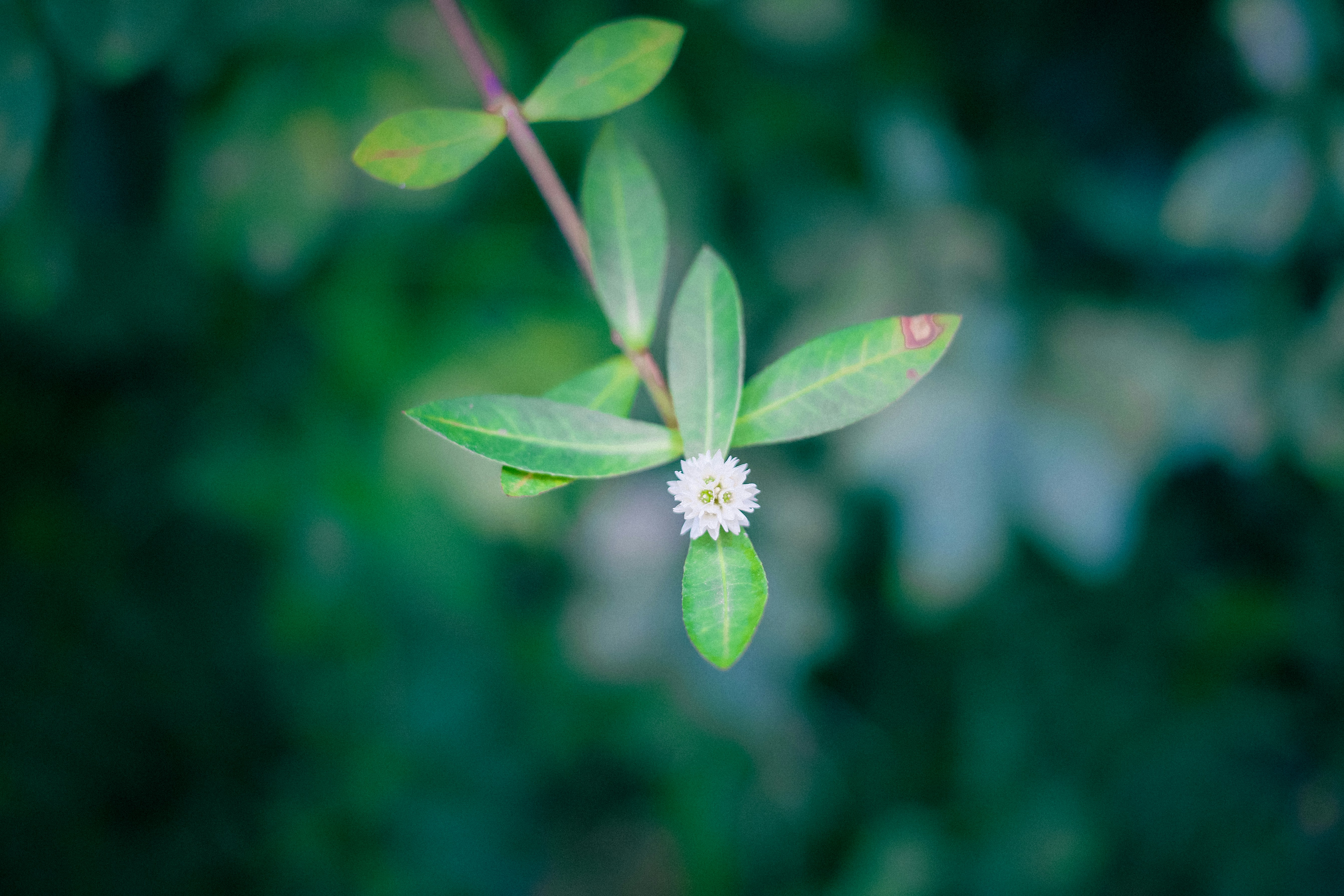 Photo by yokonoito0512