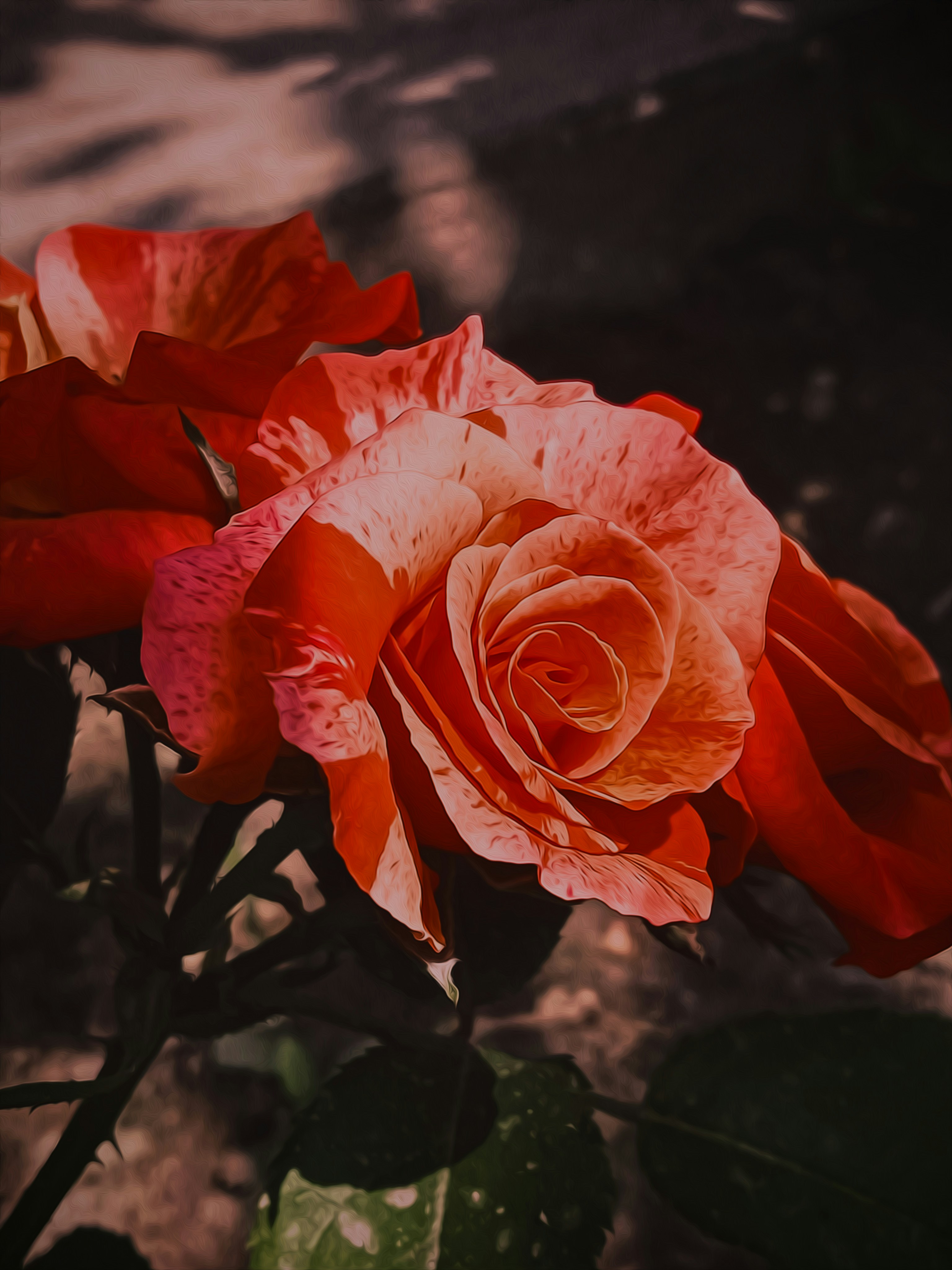 Photo by fahad_mughal