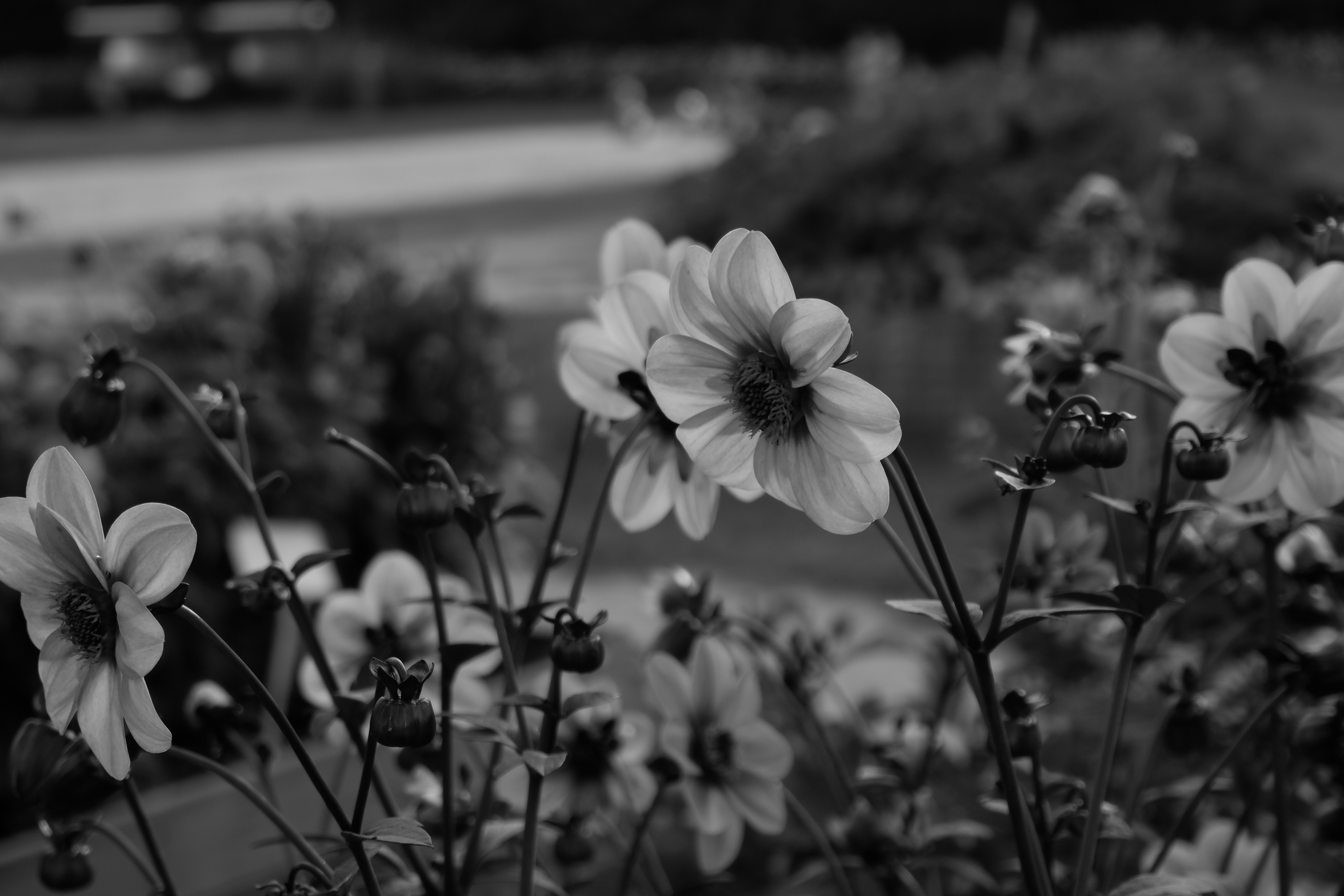 Photo by j_braytseva