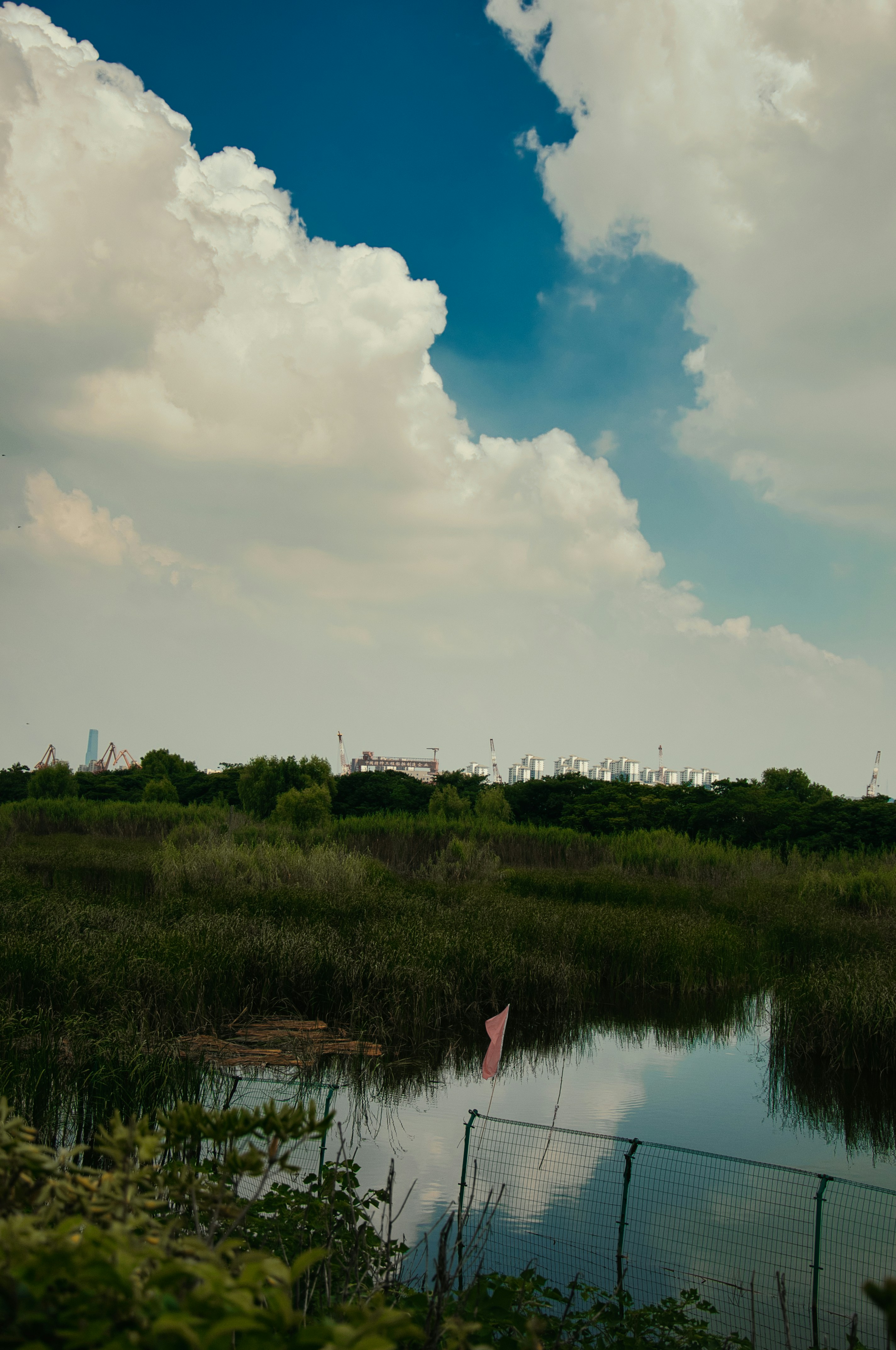 clouds
