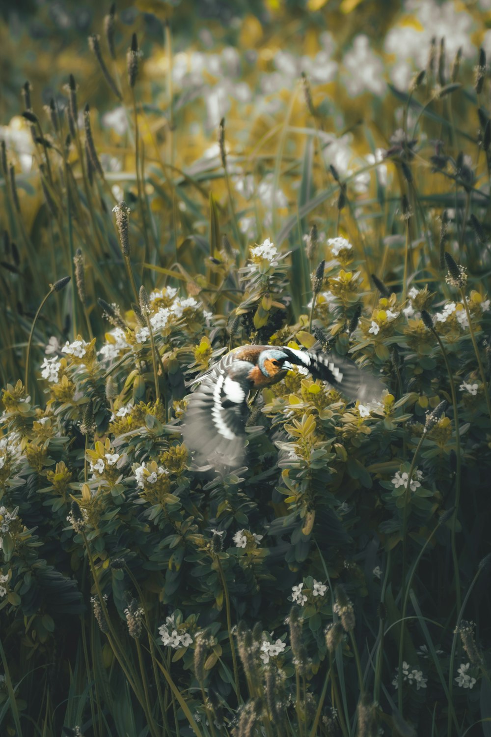 a couple of birds sitting on top of a lush green field