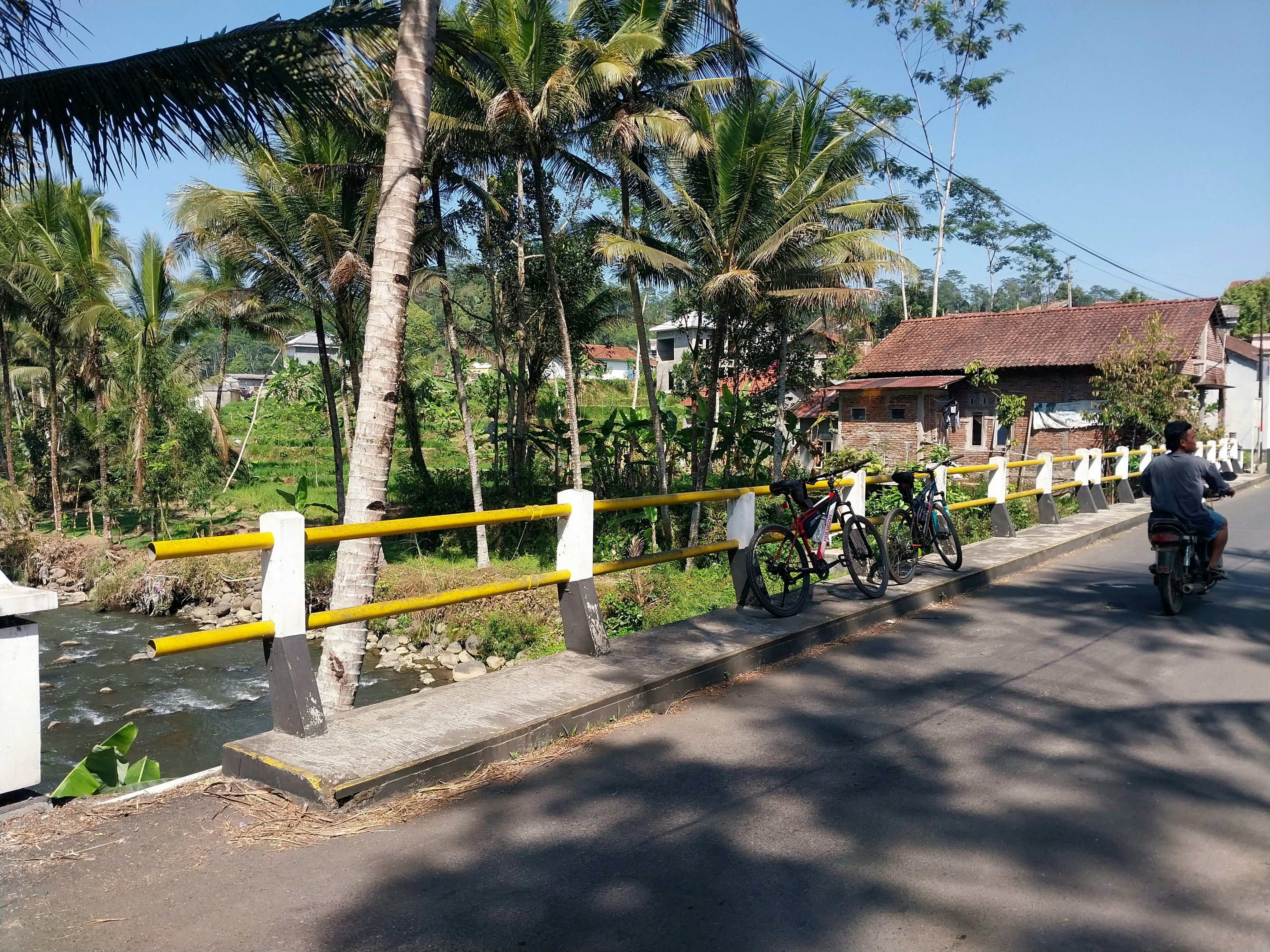seorang pria mengendarai sepeda menyusuri jalan di sebelah sungai