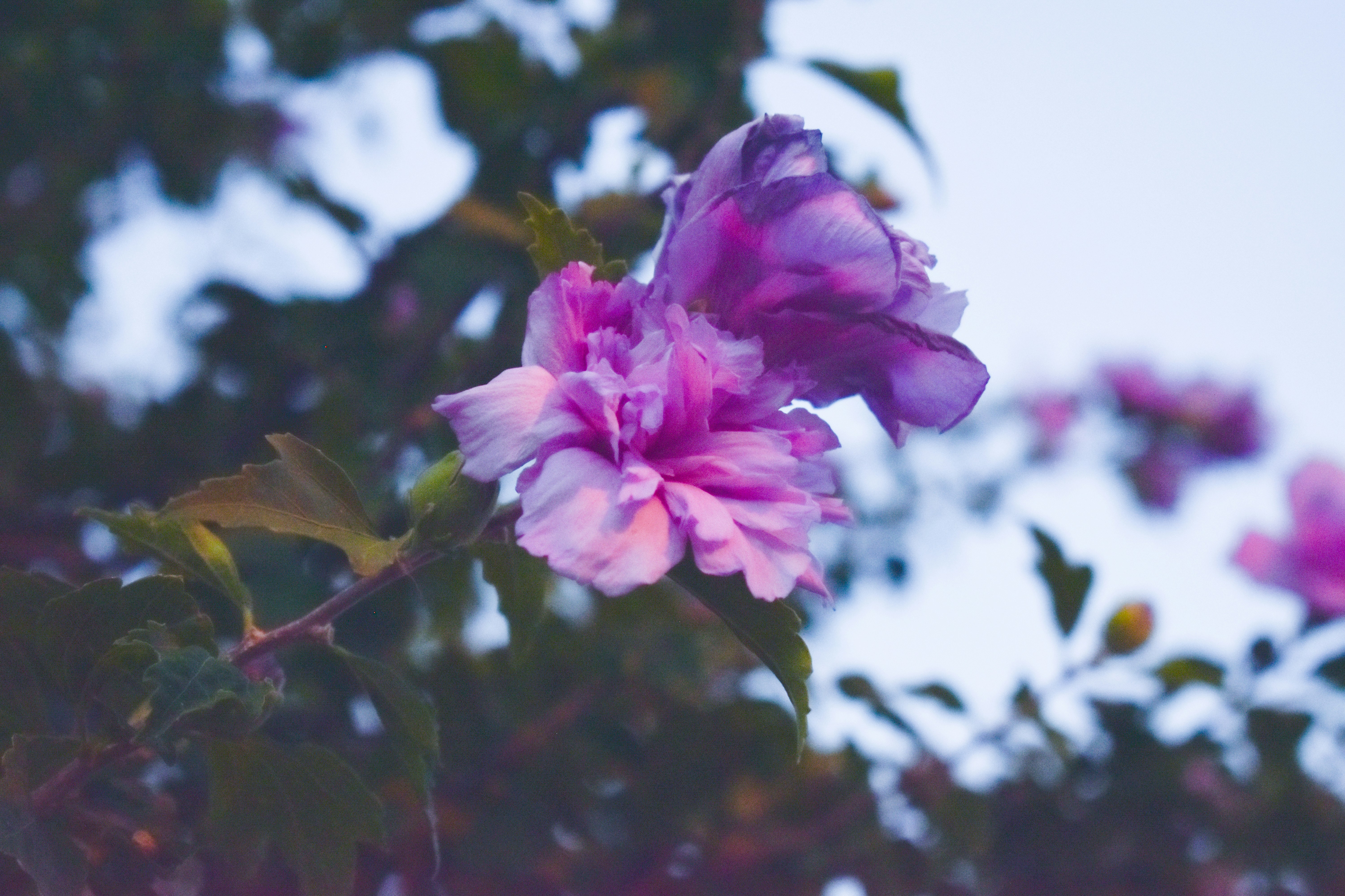 Photo by valentini_stampouli