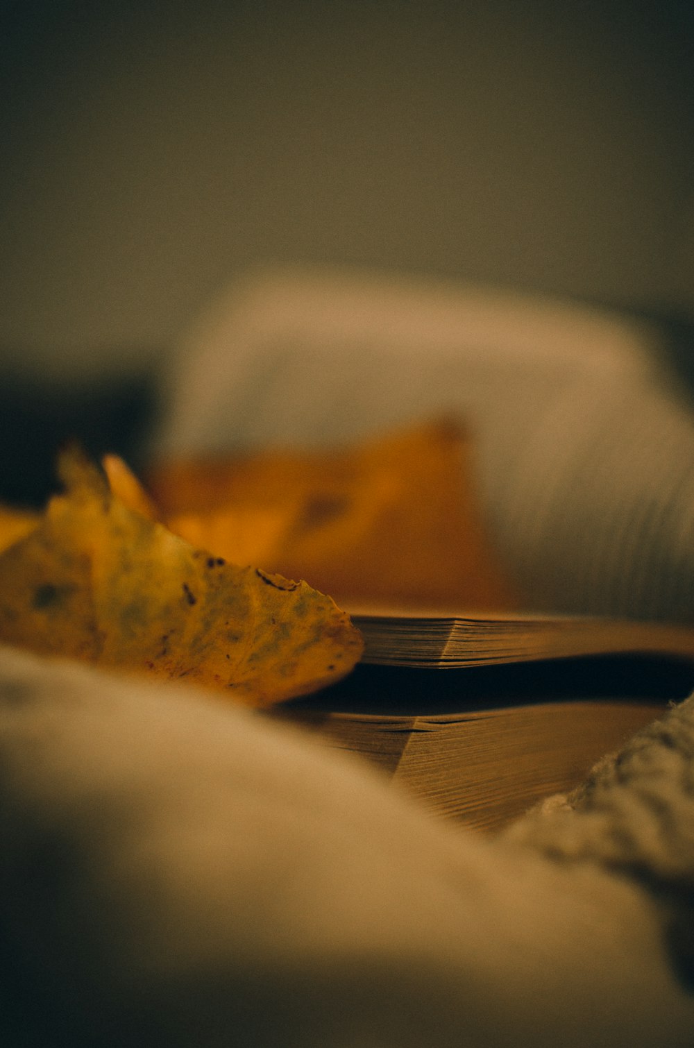 a close up of a plate with a leaf on it