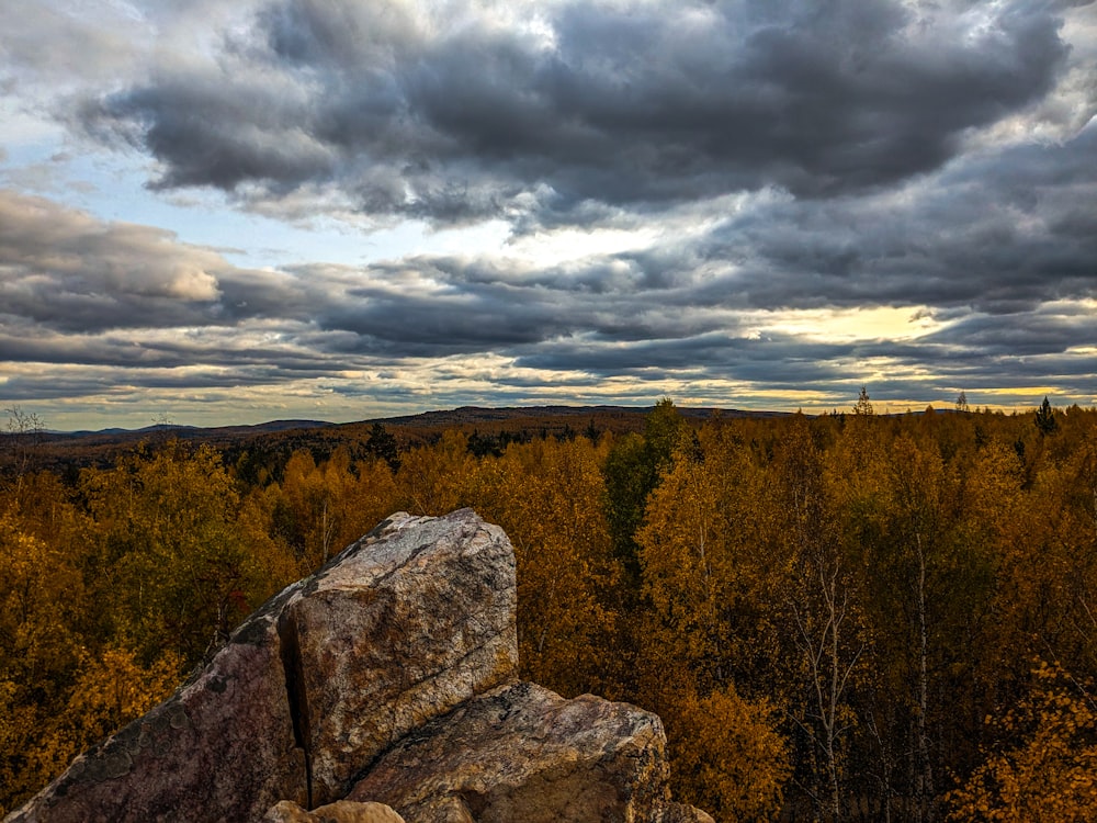 a rocky outcropping in the middle of a forest