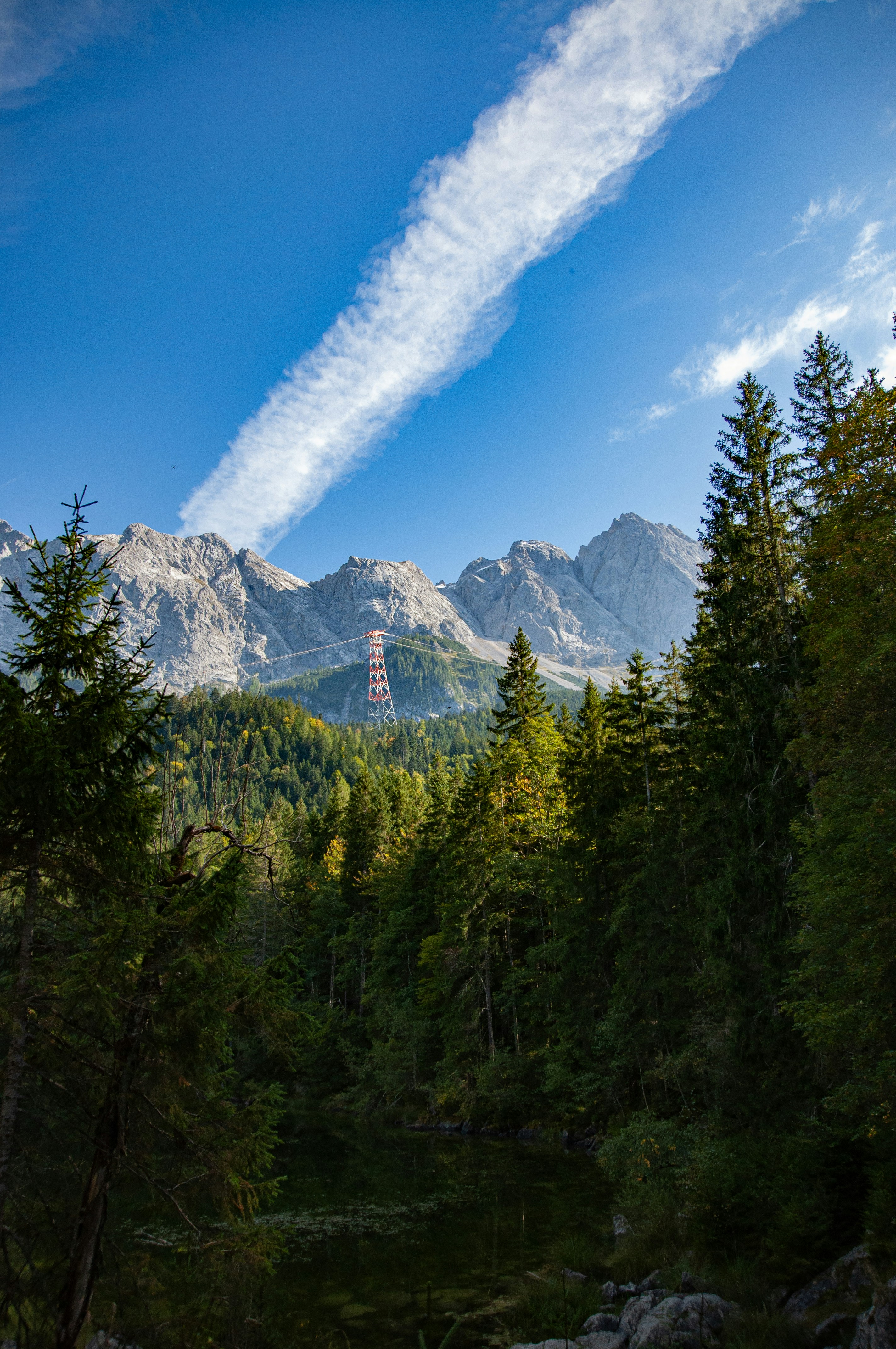 a stream running through a lush green forest under a blue sky