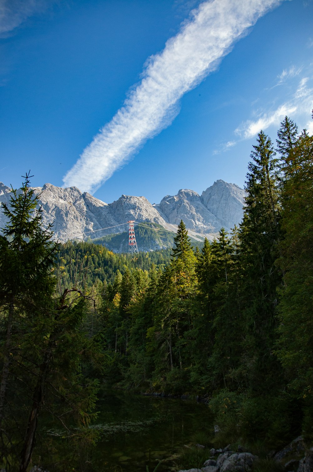 a stream running through a lush green forest under a blue sky