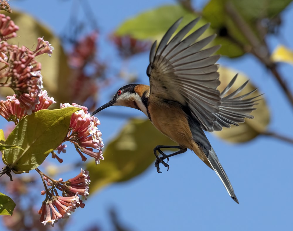 un oiseau au long bec est perché sur une branche d’arbre