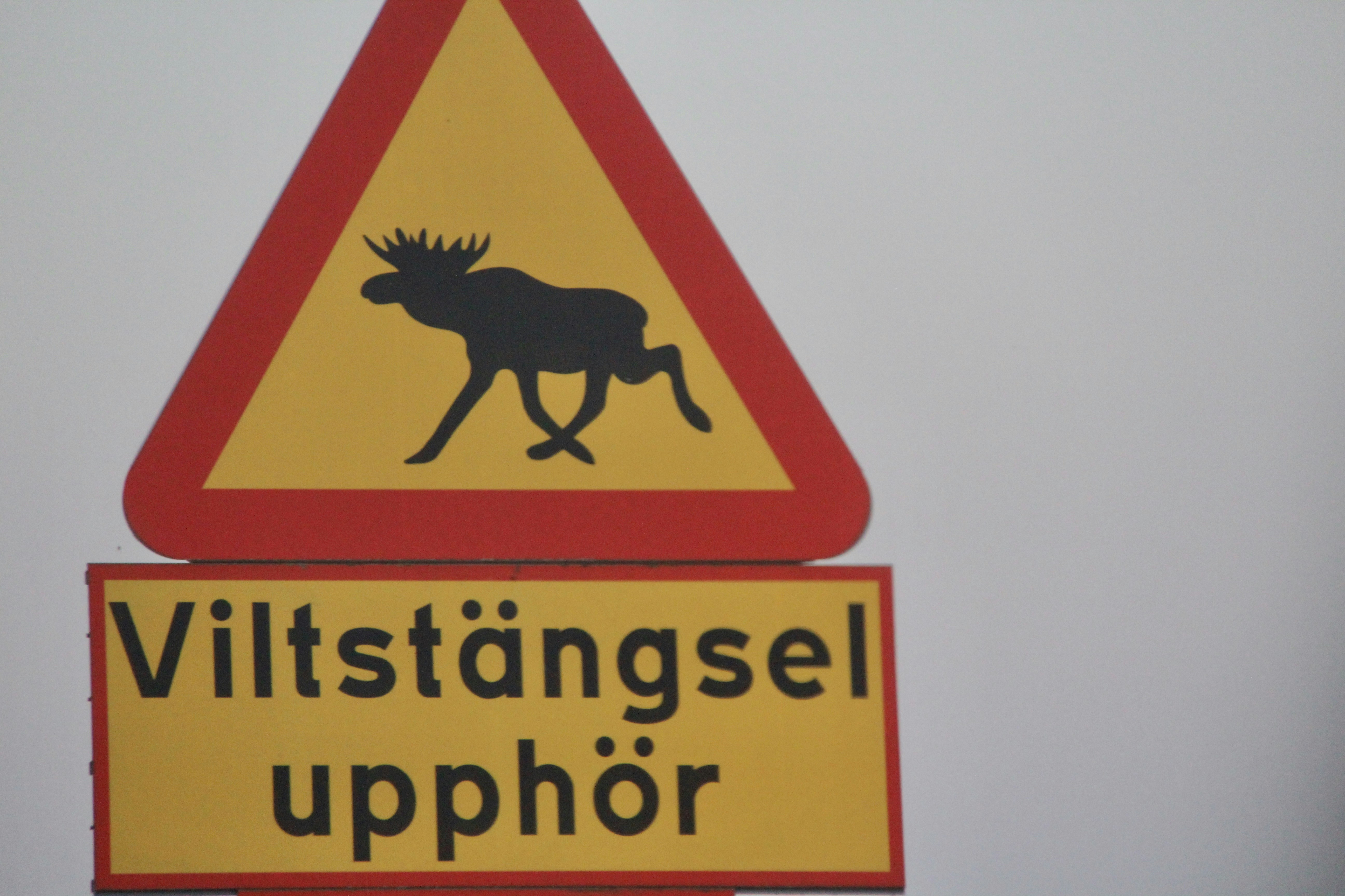 This week's best things #80