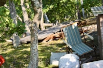 A serene forest scene with a striped blue and white folding chair sitting on a grassy, wooded area. The sunlight filters through the dense foliage, casting dappled shadows on the ground. Nearby, there is a fallen log and a wooden structure, possibly part of a cabin. The setting suggests a peaceful and rustic atmosphere, perfect for relaxation.
