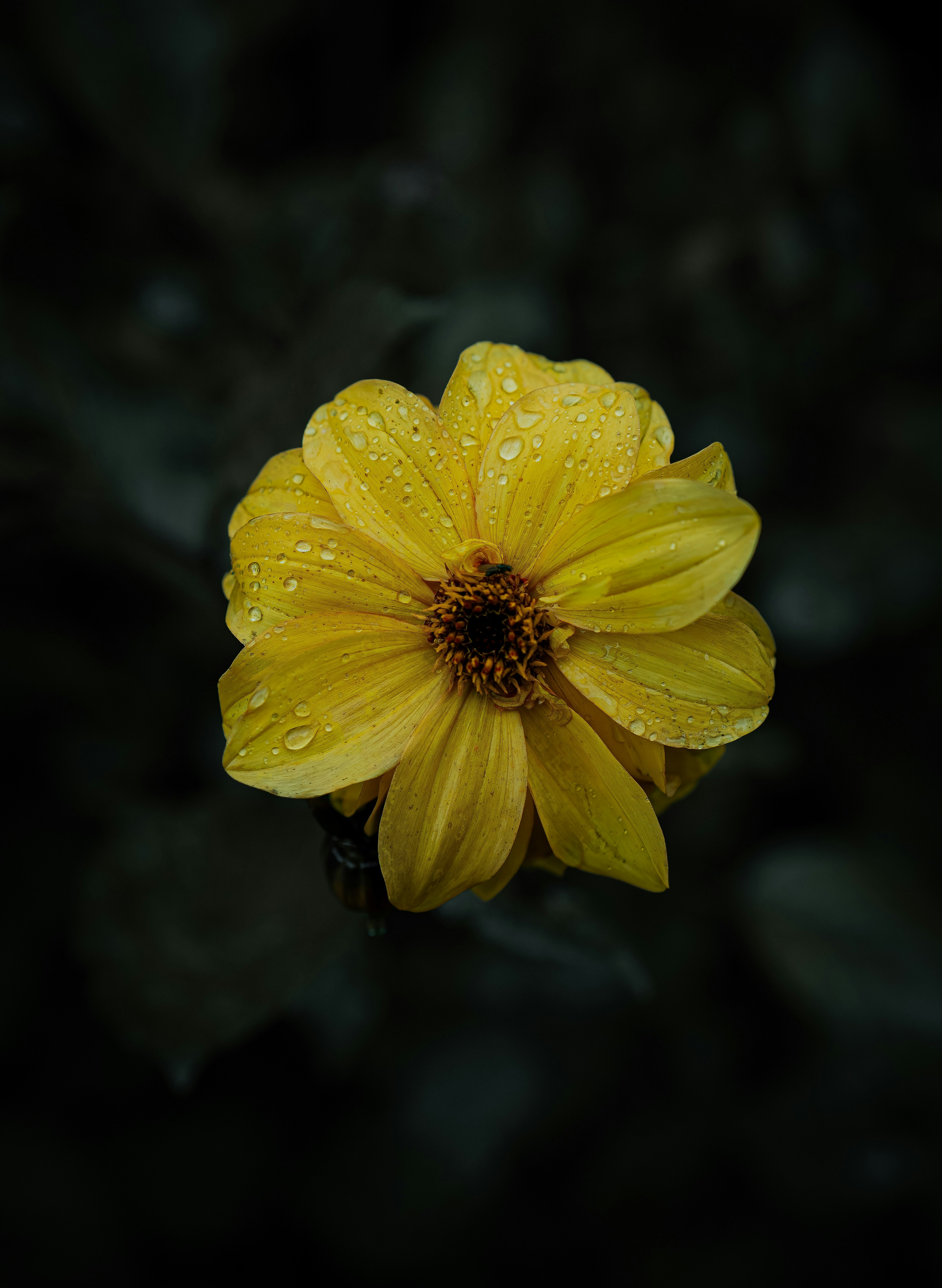 Photo by njd_photos