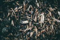 Forest residues being collected carefully for energy projects.