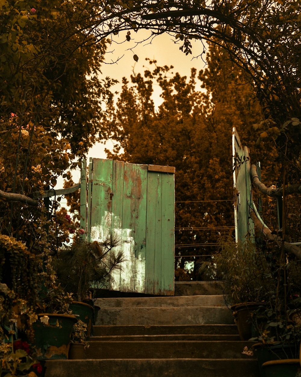 a green door sitting in the middle of a set of steps