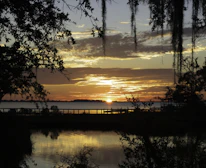 A vibrant sunset over a Louisiana bayou, capturing the spirit of Cajun lifestyle.