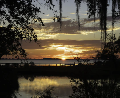 A serene sunset over the Suwannee River, with lush trees lining the water's edge in Putnam County.
