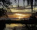 A serene bayou scene at sunset with soft golden light filtering through moss-draped trees.
