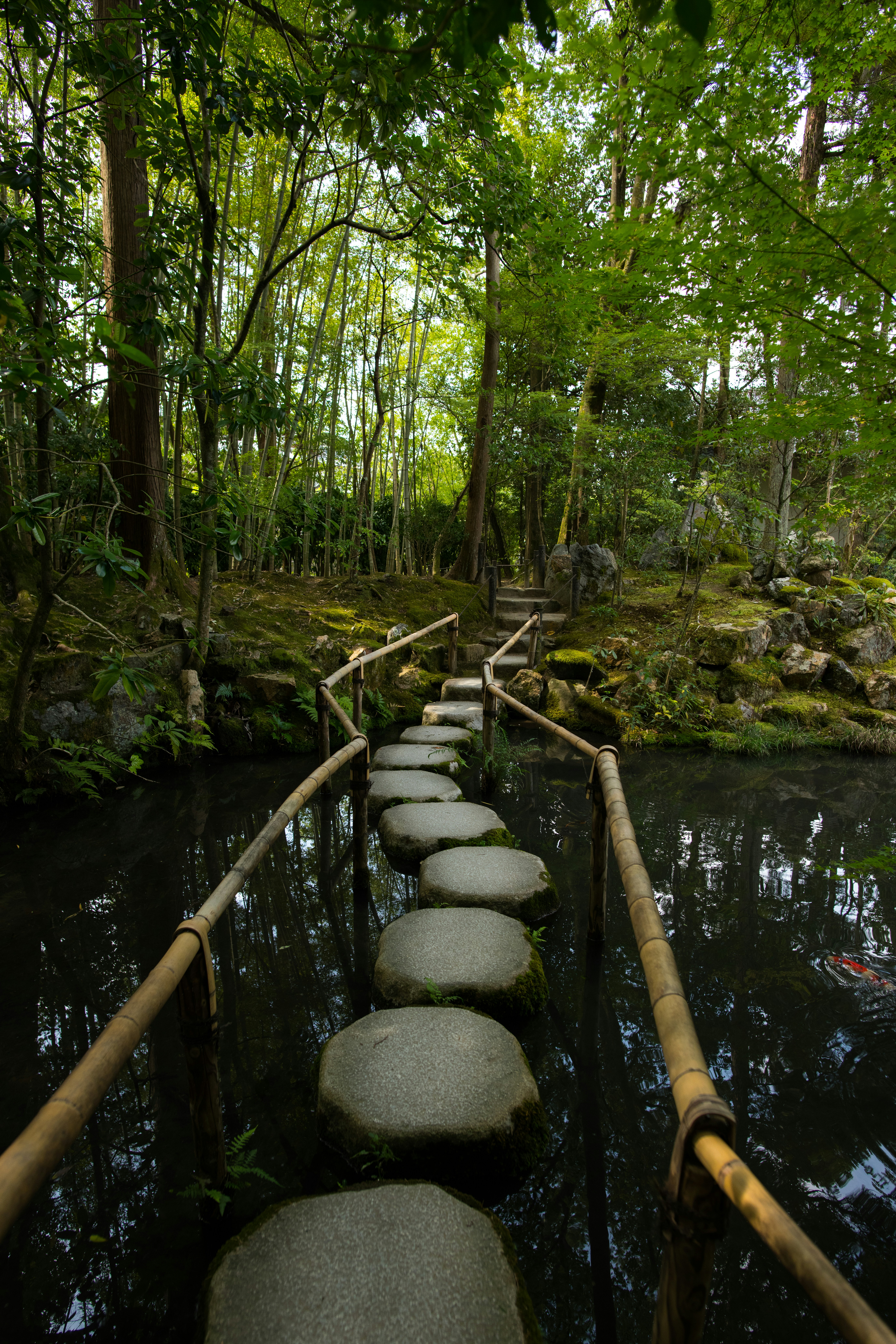 Cozy cottage in the forest.jpg