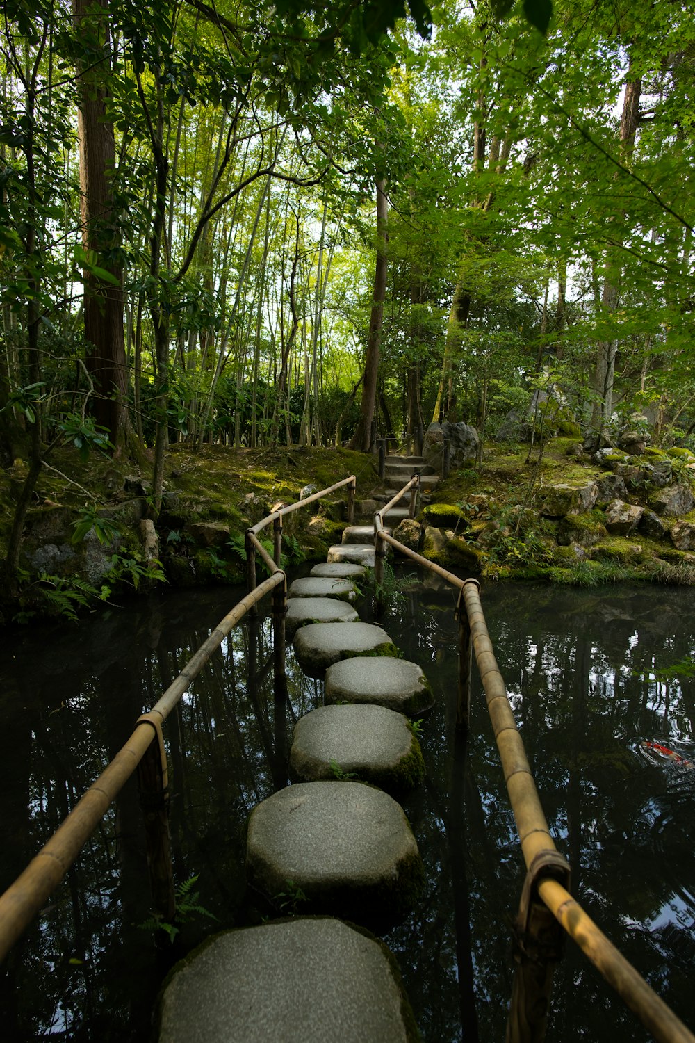 a path made of stepping stones in the middle of a forest