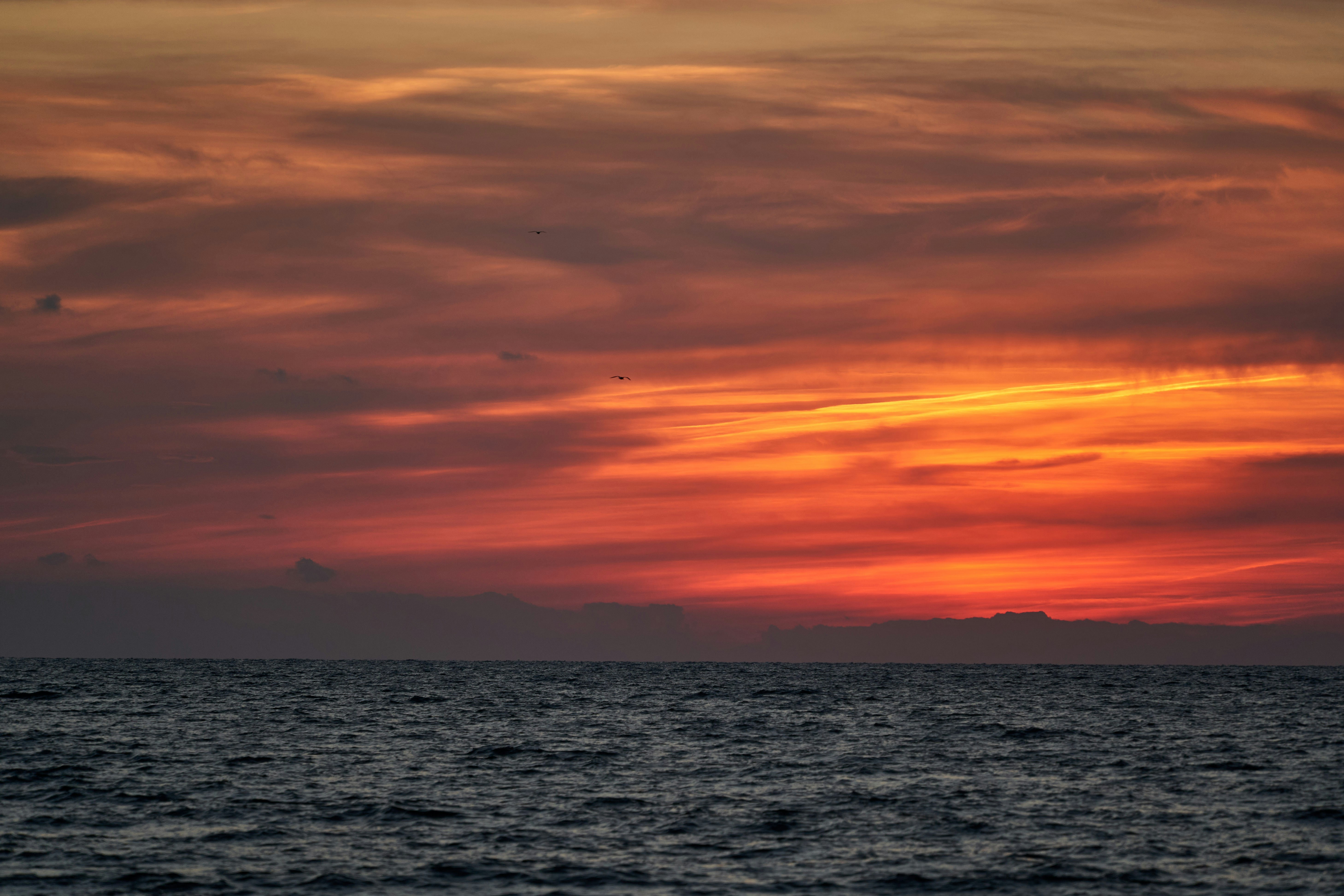 Photo by wolfgang_hasselmann