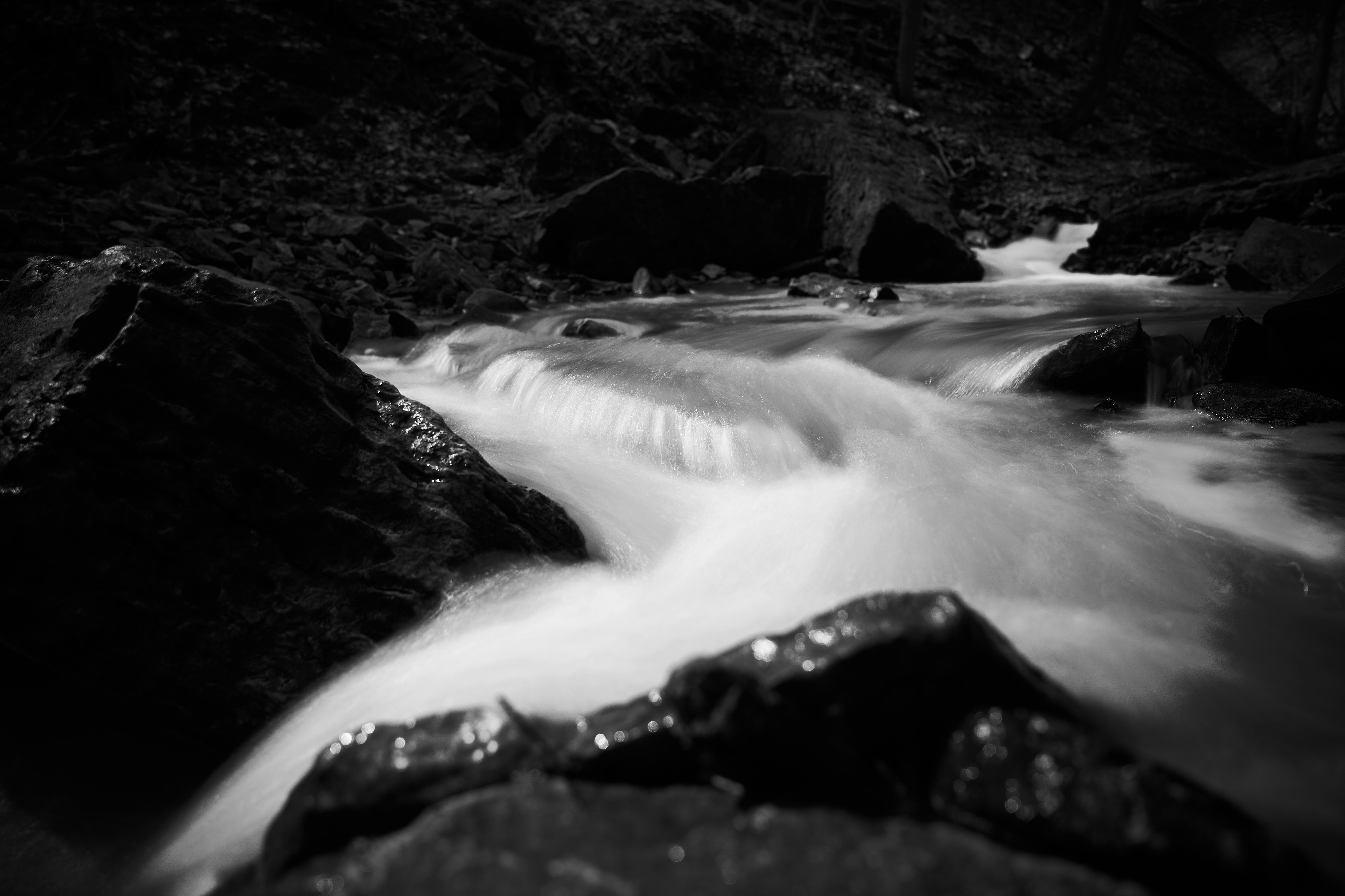 Photo by wolfgang_hasselmann