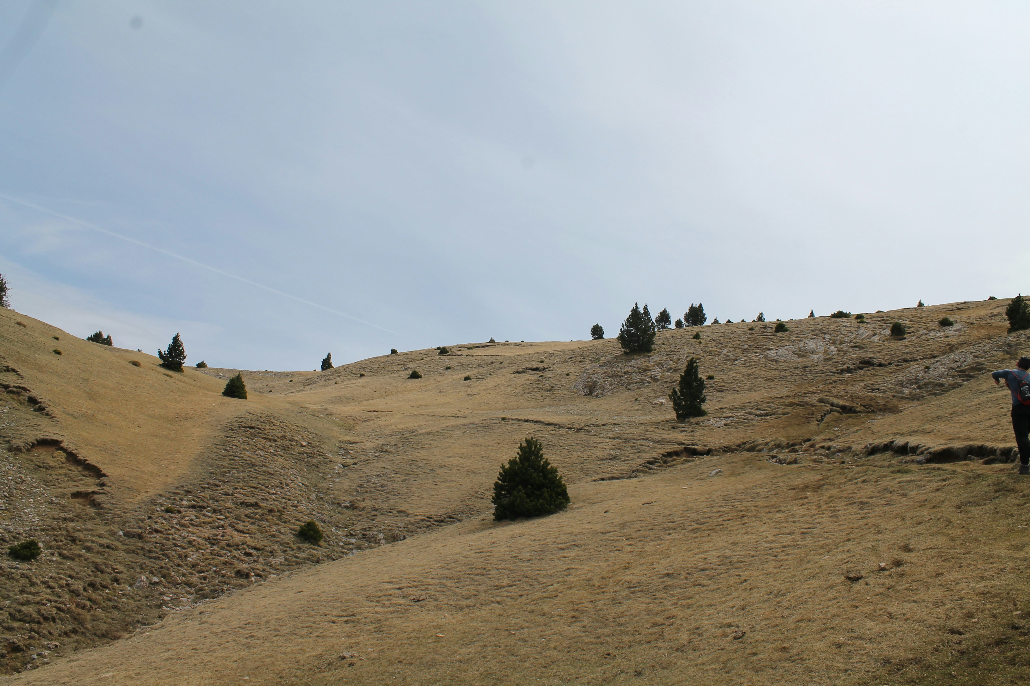 a man standing on top of a dry grass covered hillside