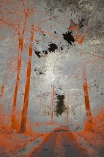 An imaginative AI artwork illustrating a dreamlike forest.