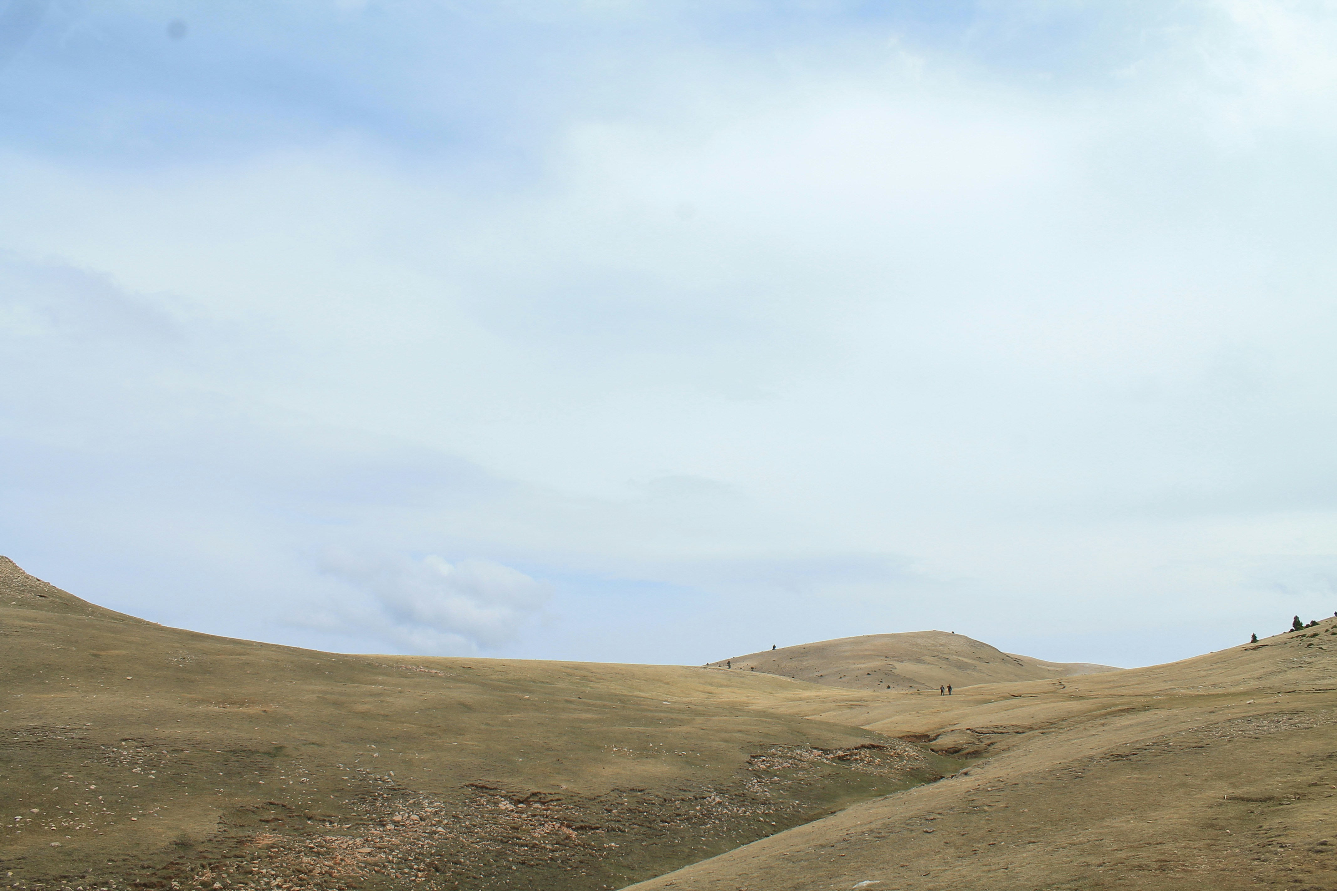 a group of people standing on top of a hill