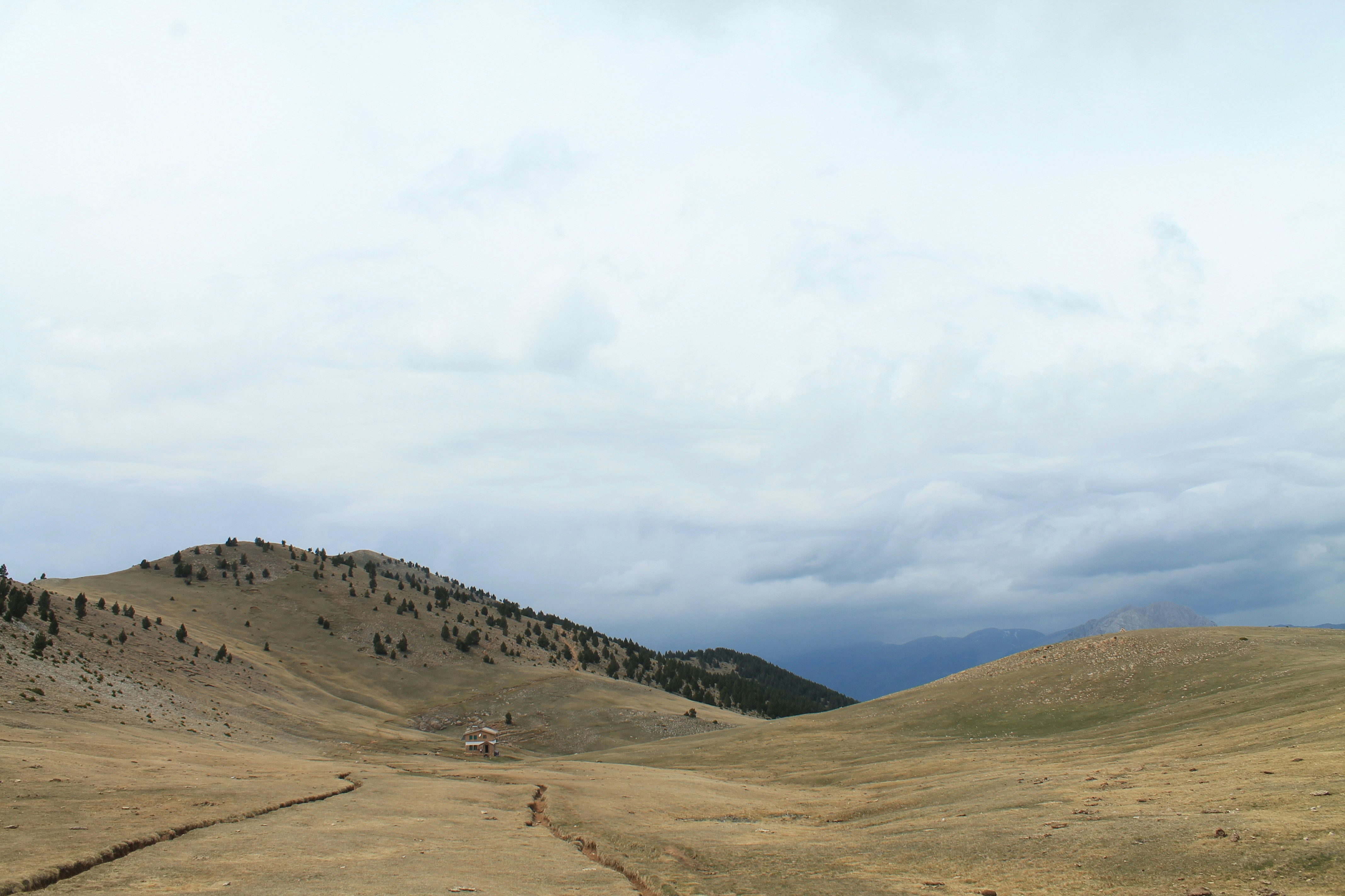 a dirt road in the middle of a field