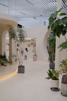 A spacious, modern interior with white curved walls and large potted plants arranged throughout the area. The ceiling features slatted designs allowing natural light to diffuse gently across the space. A person wearing casual clothes walks in the background, adding a sense of scale and human presence. The overall design is minimalist, emphasizing clean lines and open spaces.